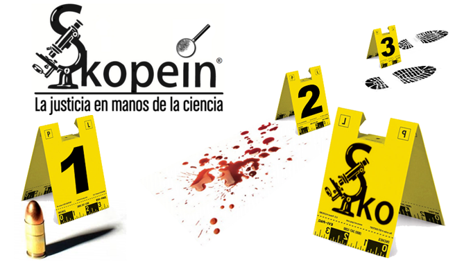 Revista Skopein